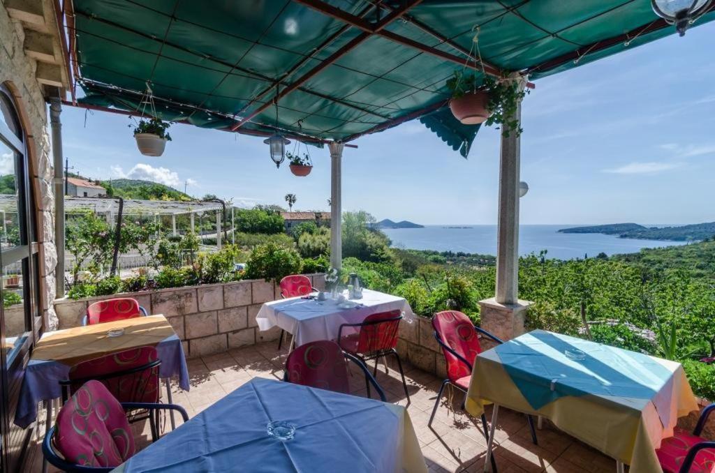 Guesthouse Moretic Orašac Rum bild