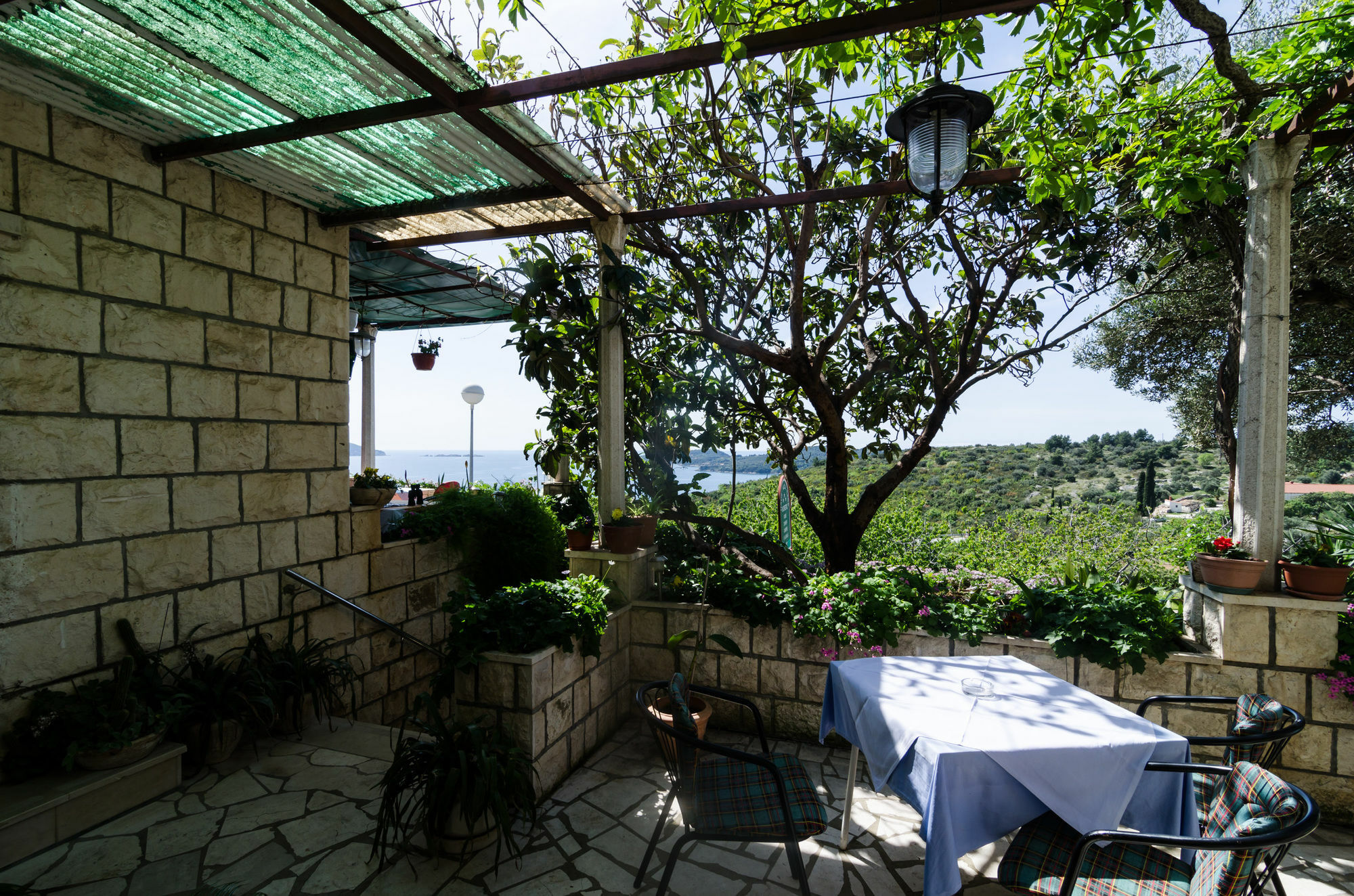 Guesthouse Moretic Orašac Exteriör bild