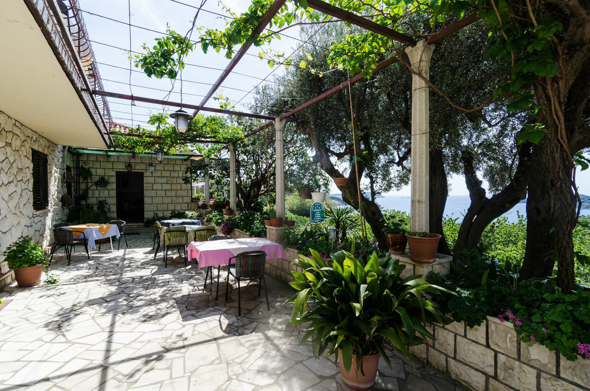 Guesthouse Moretic Orašac Exteriör bild